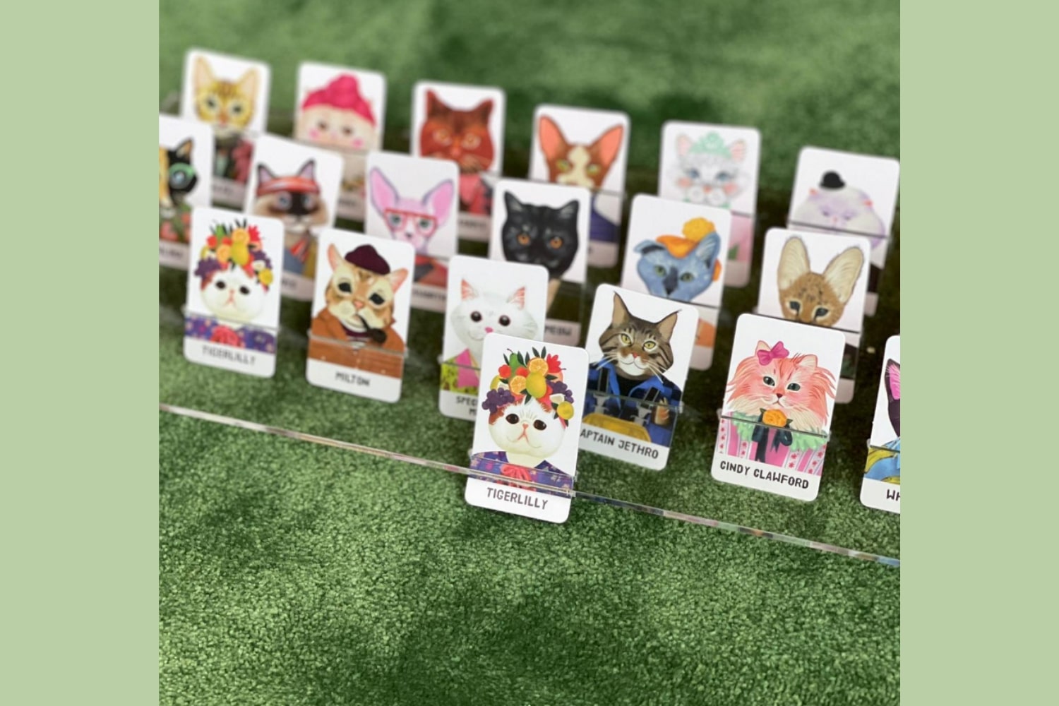 Guess the Feline 2-Player Guessing Game