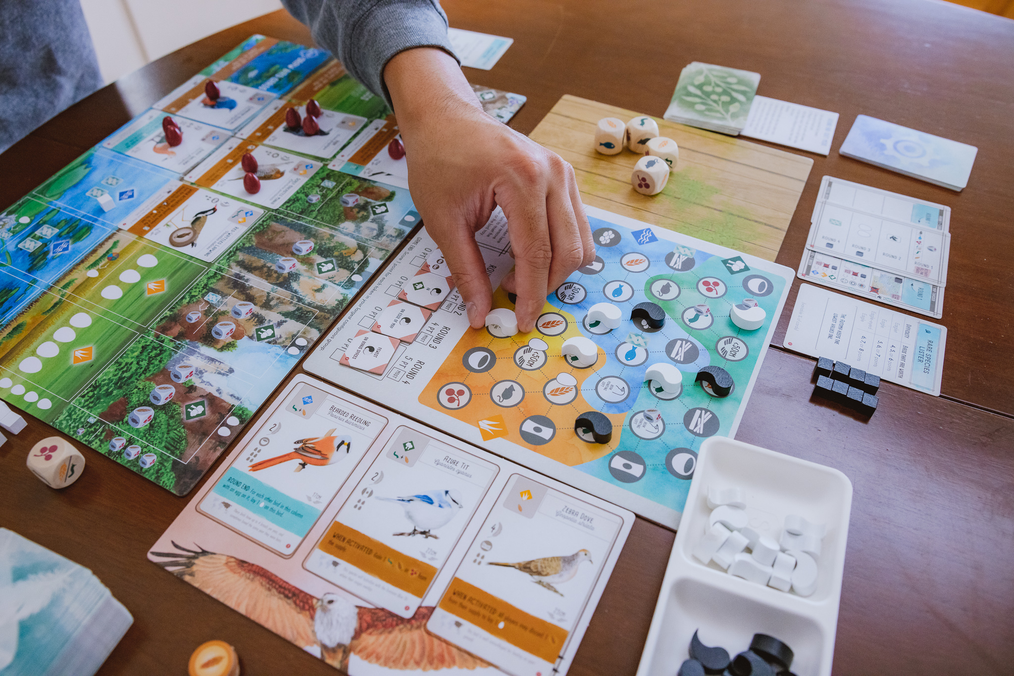 Wingspan Asia Board Game & Expansion , Stand Alone Game and Expansion