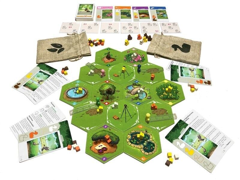 Ducks in Tow - Board Game by First Fish Games | 672975238629 | Booktopia