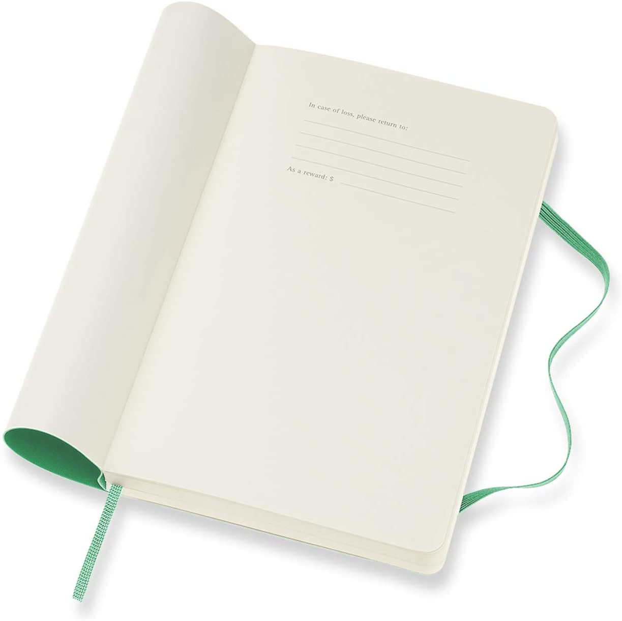 Moleskine 2022 Daily Diary/ Planner, Large, Soft Cover, Ice Green by Moleskine 8056420858631