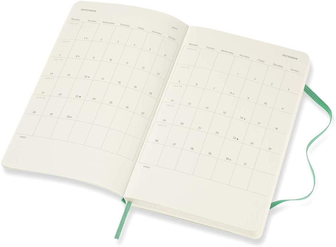 Moleskine 2022 Daily Diary/ Planner, Large, Soft Cover, Ice Green by Moleskine 8056420858631
