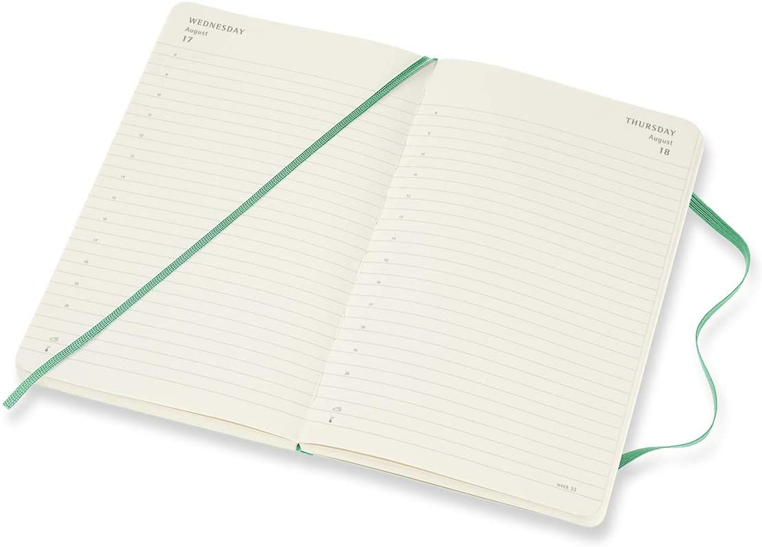 Moleskine 2022 Daily Diary/ Planner, Large, Soft Cover, Ice Green by