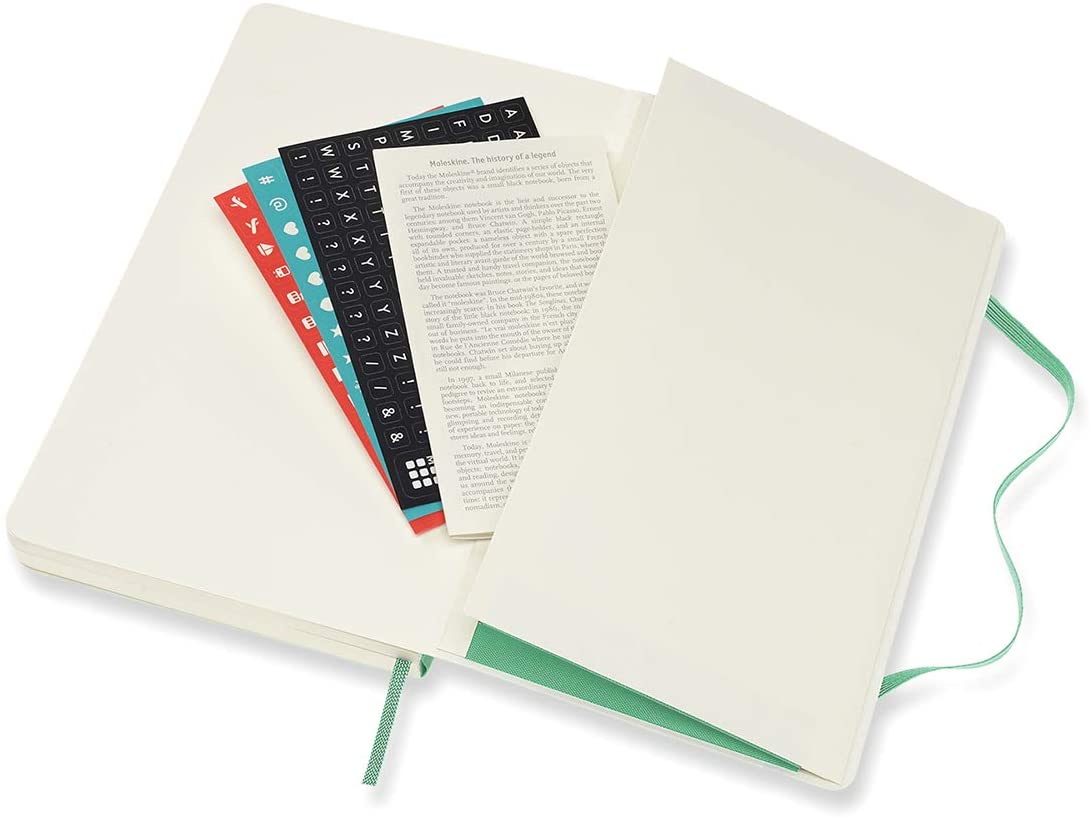 Moleskine 2022 Daily Diary/ Planner, Large, Soft Cover, Ice Green by