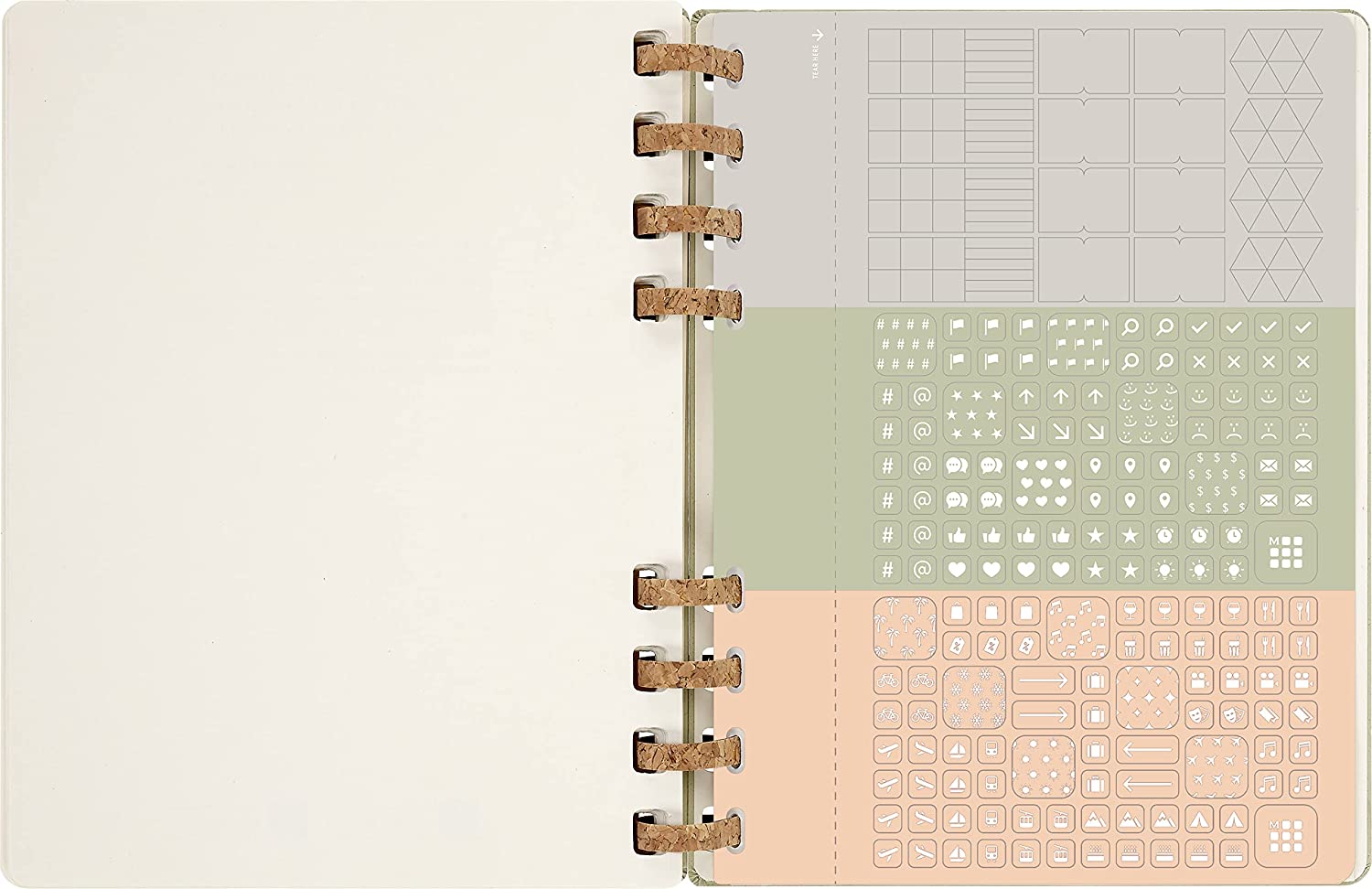 Moleskine 2022 2023 Spiral Academic Planner, Extra Large, Hardcover, Crush Kiwi, Moleskine