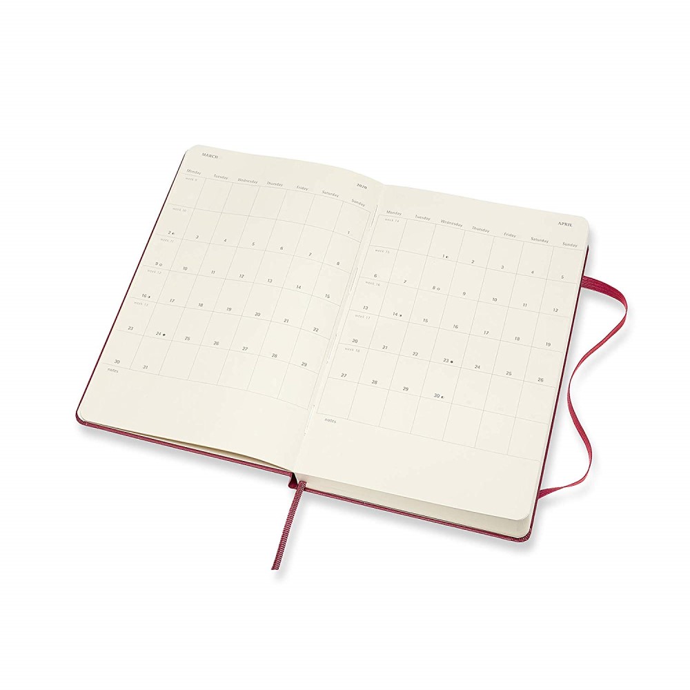Moleskine 2020 Large Snappy Pink Hard Cover Daily Planner by Moleskine