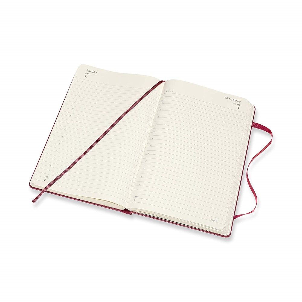 Moleskine 2020 Large Snappy Pink Hard Cover Daily Planner by Moleskine