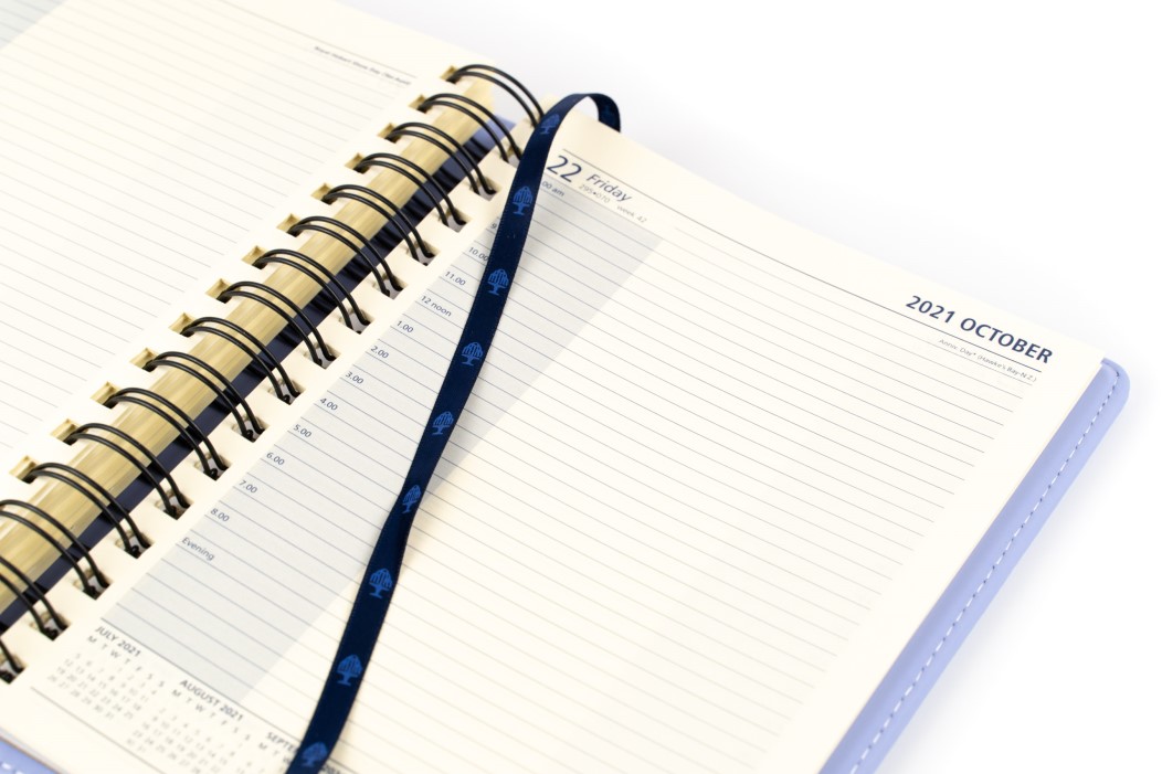 Debden Associate II 2021 Calendar Year Diary A5 Day to Page Light