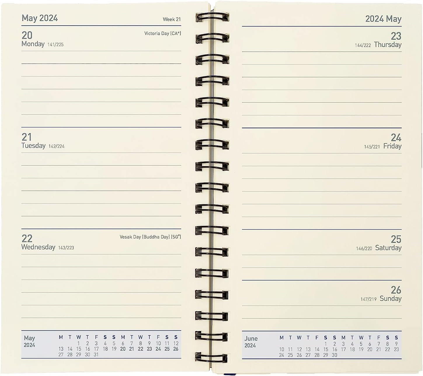 Debden Elite Desk Diary Refill 2024 Week to View, Size Pocket (17
