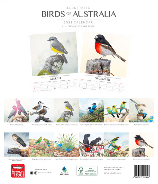 Illustrated Birds of Australia 2023 Deluxe Wall Calendar, 2023 Wall