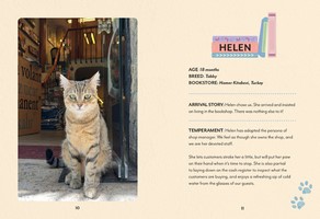 Gallery preview