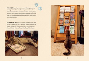 Gallery preview