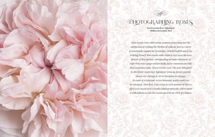 Gallery preview