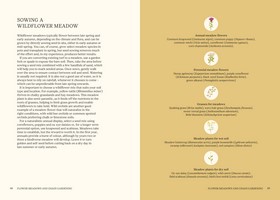 Gallery preview