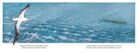 Gallery preview