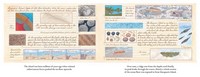 Gallery preview