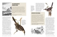 Gallery preview