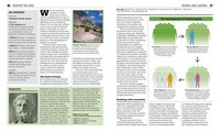 Gallery preview