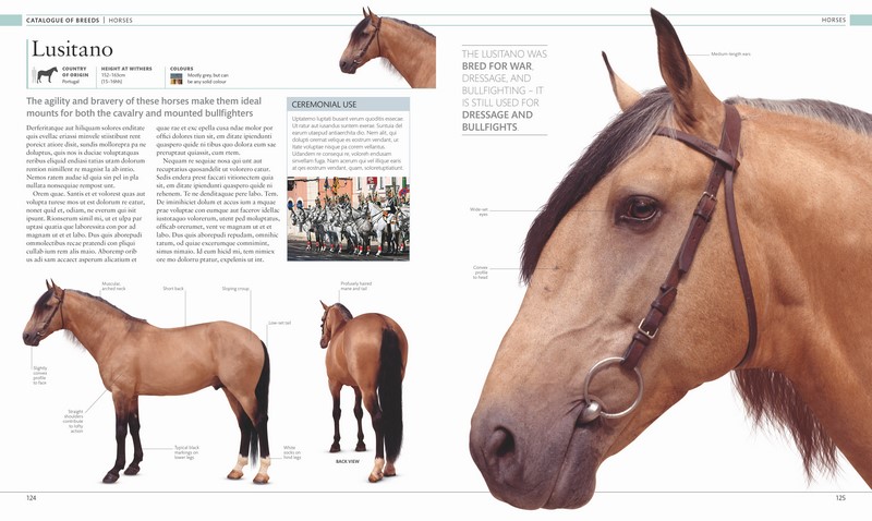 The Horse Encyclopedia by Elwyn Hartley Edwards Edwards | 9780241249789 ...