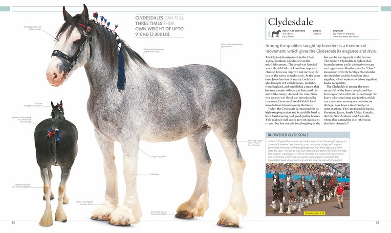 The Horse Encyclopedia by Elwyn Hartley Edwards Edwards | 9780241249789 ...