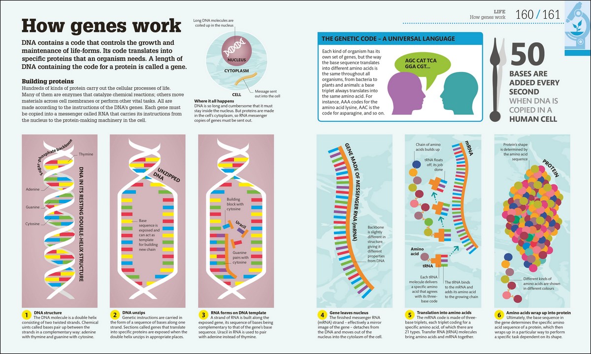 How Science Works, The Facts Visually Explained by DK | 9780241287279 ...
