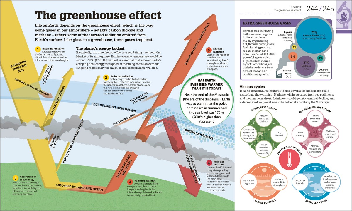 How Science Works, The Facts Visually Explained by DK | 9780241287279 ...