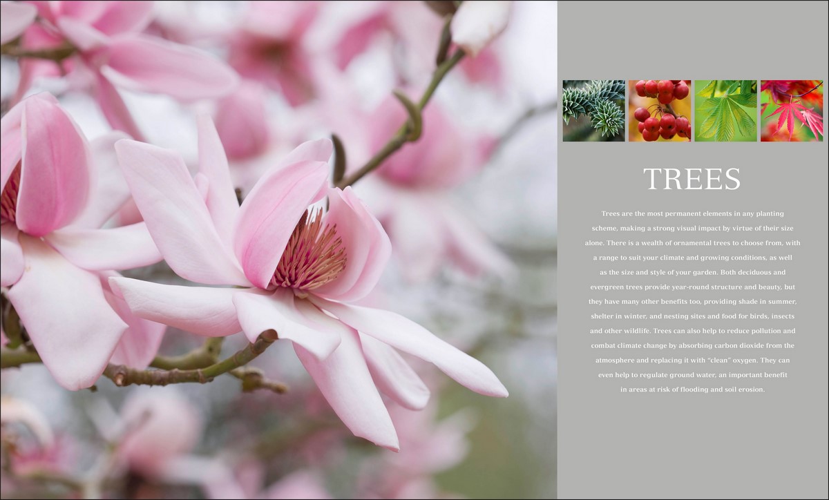 RHS Encyclopedia of Plants and Flowers