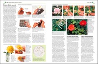 Gallery preview