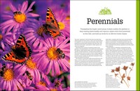 Gallery preview