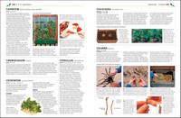 Gallery preview