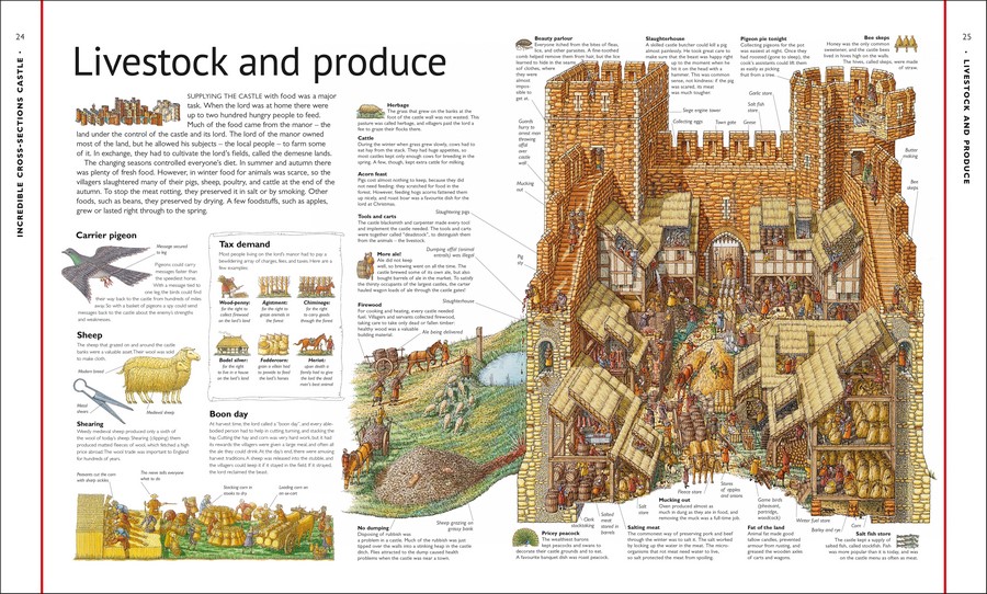 Stephen Biesty's CrossSections Castle, See Inside An Amazing 14thCentury Castle by DK