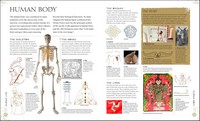 Gallery preview