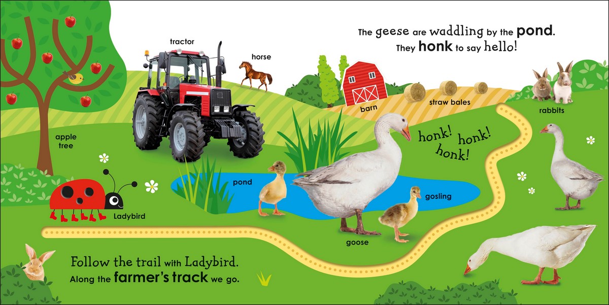On the Farm with a Ladybird, With fun trails to follow and first words ...
