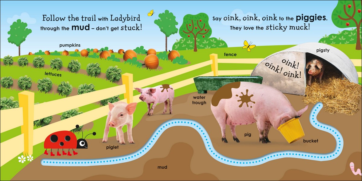 On the Farm with a Ladybird, With fun trails to follow and first words ...