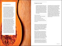 Gallery preview