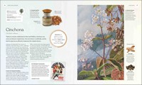 Gallery preview