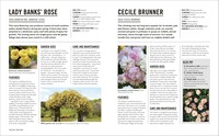 Gallery preview