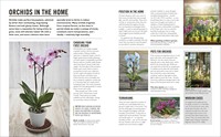 Gallery preview