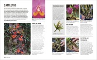 Gallery preview