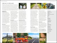 Gallery preview