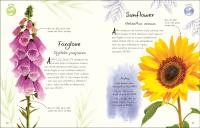 Gallery preview