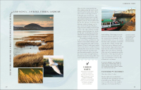 Gallery preview