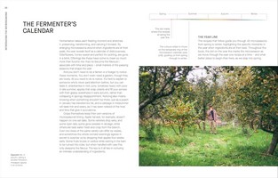 Gallery preview