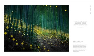 Gallery preview