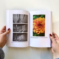 Gallery preview