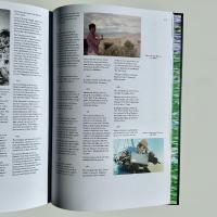 Gallery preview
