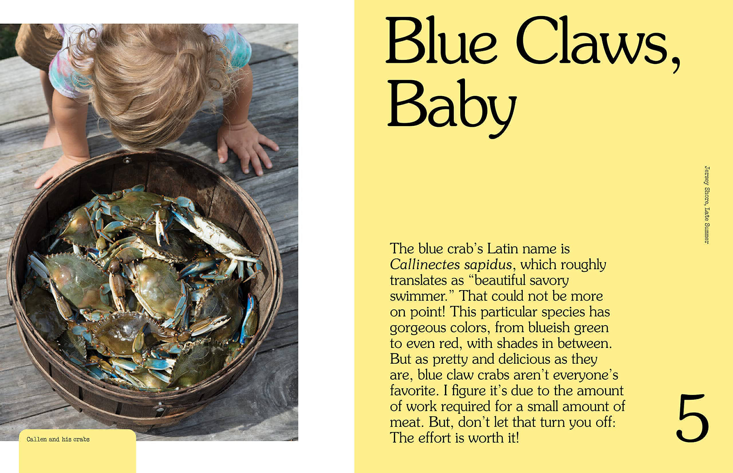 Field Notes for Food Adventure, Recipes and Stories from the Woods to the Ocean by Brad Leone