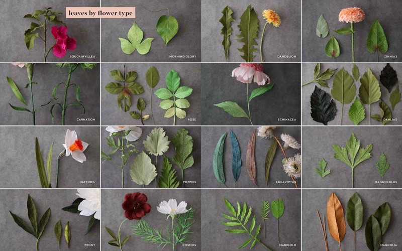 The Fine Art of Paper Flowers, A Guide to Making Beautiful and Lifelike