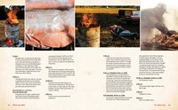 Gallery preview