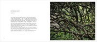 Gallery preview