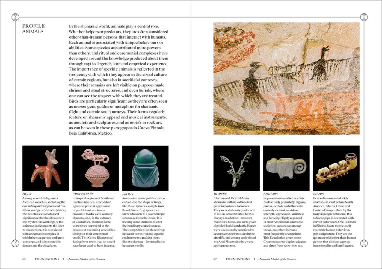 Shamans by Max Carocci | The visual culture of animism, healing